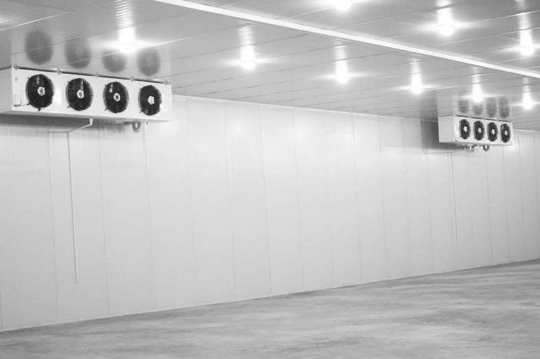 食品保鮮冷庫(kù)維修保養(yǎng)-多魚(yú)食品(圖2)