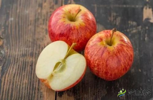 蘋果冷庫儲(chǔ)藏特點(diǎn),保鮮冷庫造價(jià)及影響因素(圖1) 蘋果冷庫儲(chǔ)藏特點(diǎn),保鮮冷庫造價(jià)及影響因素(圖1)