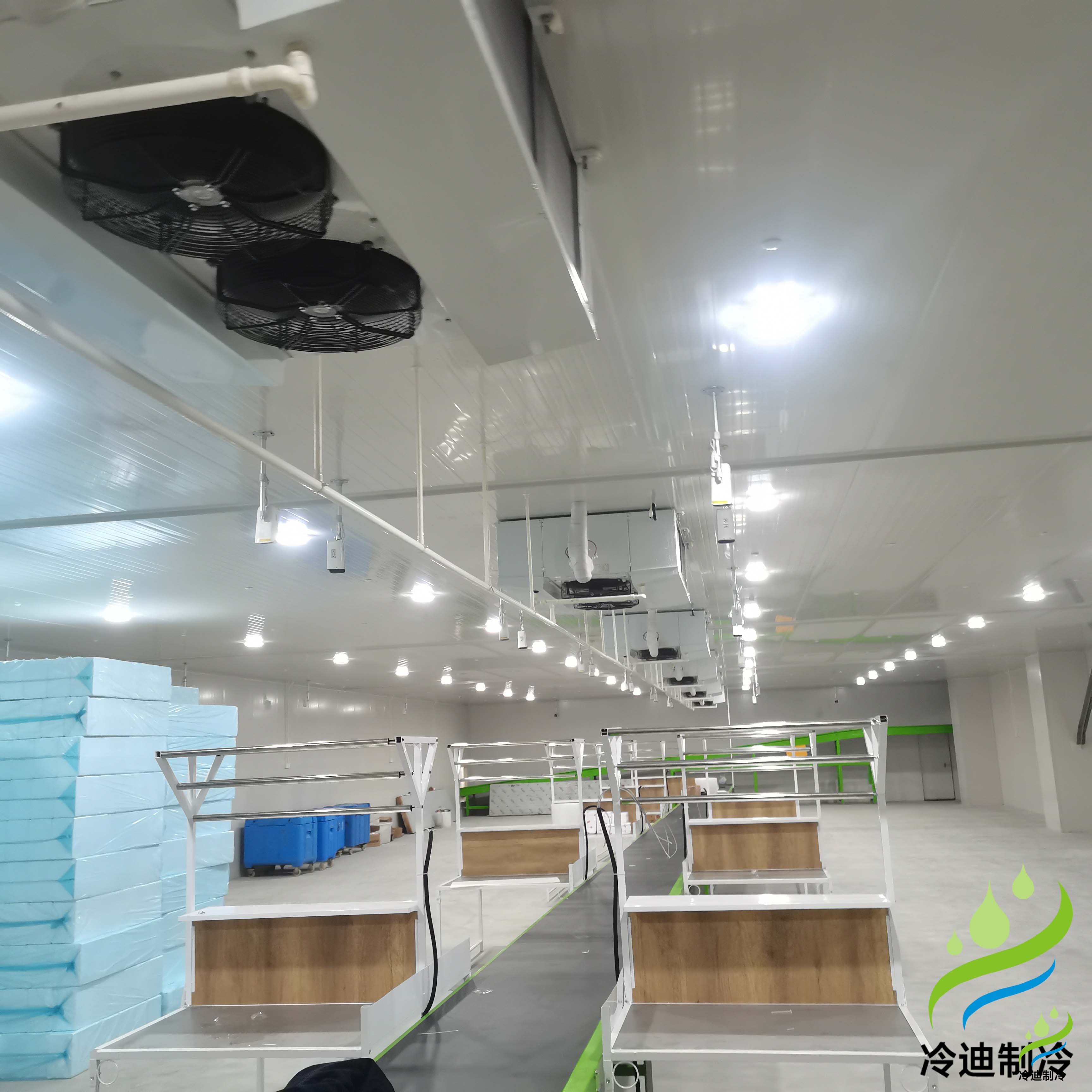 建造5萬噸農產品冷庫及設計需要成本多少錢？(圖2)