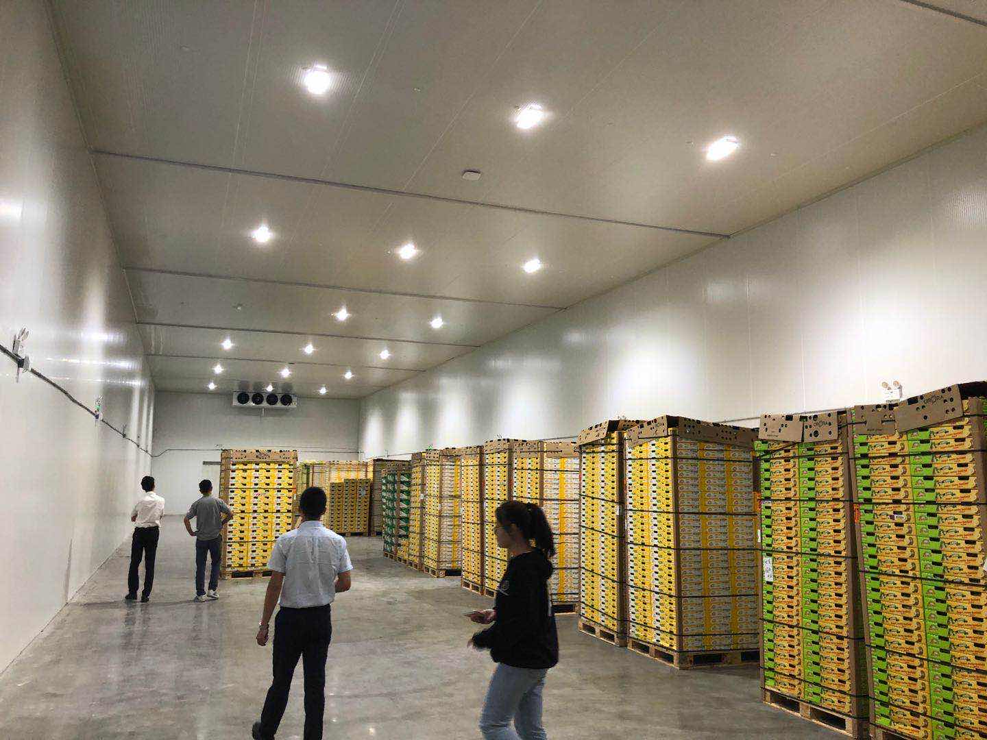 水果冷庫.jpg 水果冷庫.jpg