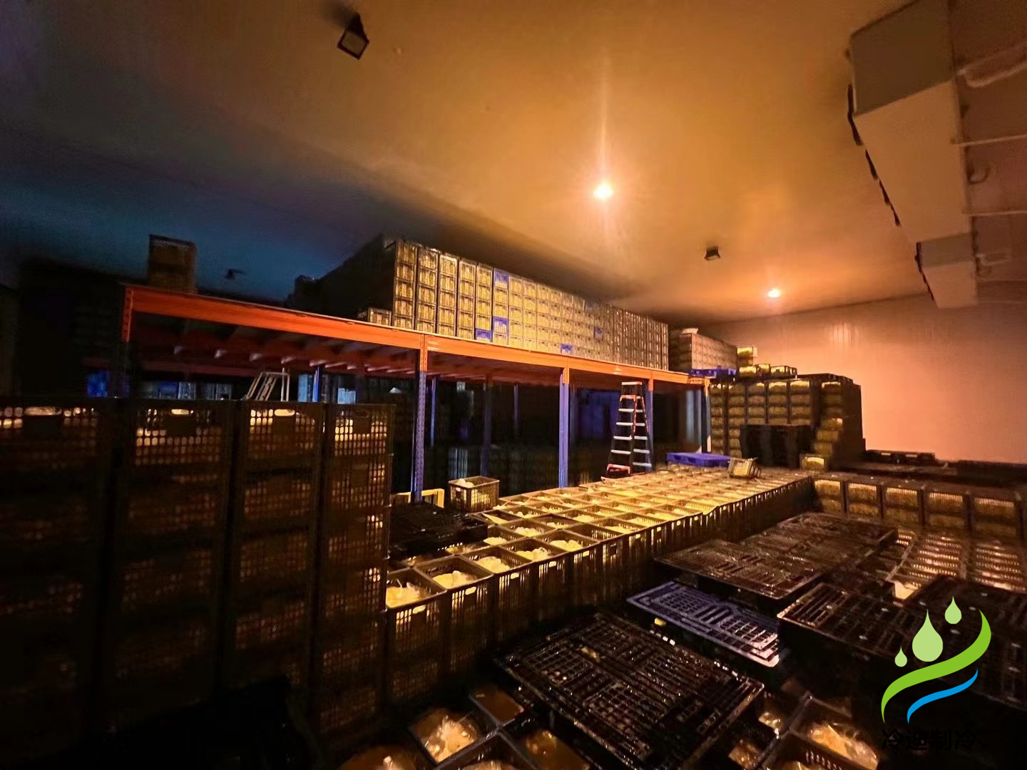 建造一個1000噸禽蛋類冷藏庫的成本是多少？