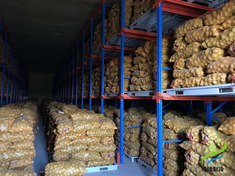 建造100噸土豆冷庫面積及冷庫造價(jià)多少錢？