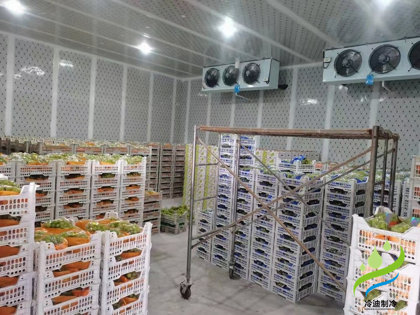 建造氣調冷庫多大一間比較合適？