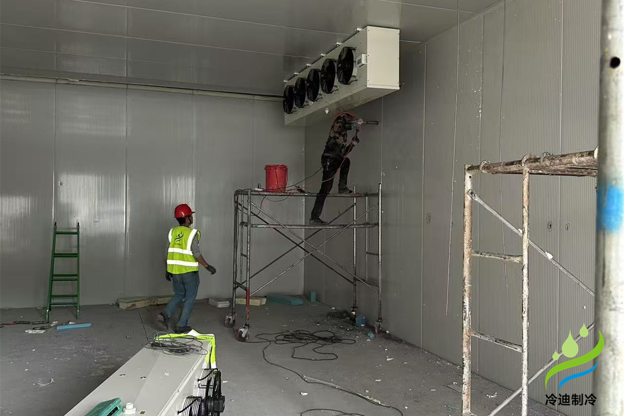 浙江杭州500立方醫(yī)藥冷庫建造案例(圖1) 醫(yī)藥冷庫