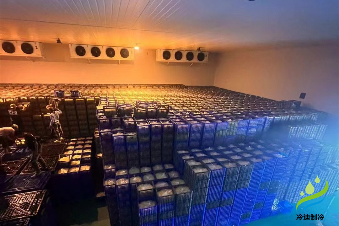 建設大型冷庫造價多少錢一平方米？